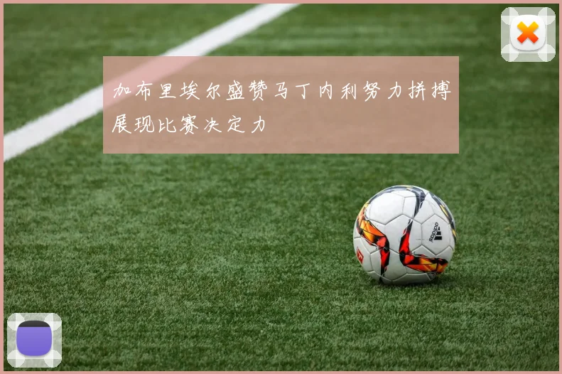 加布里埃尔盛赞马丁内利努力拼搏展现比赛决定力