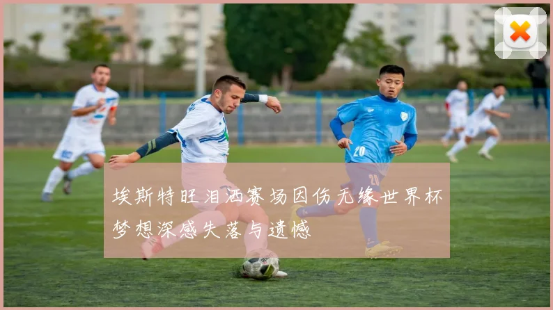 埃斯特旺泪洒赛场因伤无缘世界杯梦想深感失落与遗憾